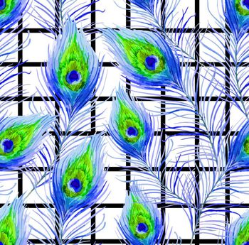 504759-时尚格子水彩孔雀羽毛
