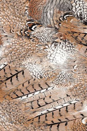 现代印花华亿平台图片