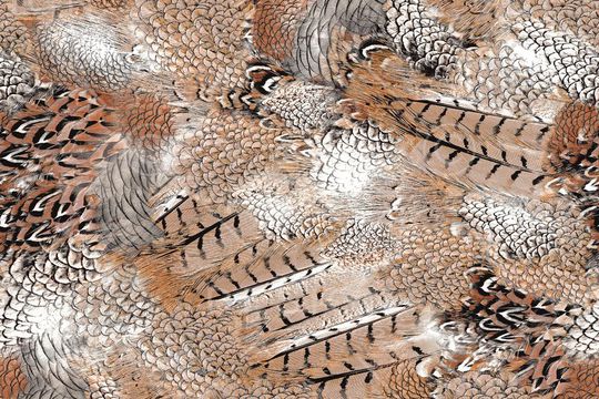 现代印花华亿平台图片