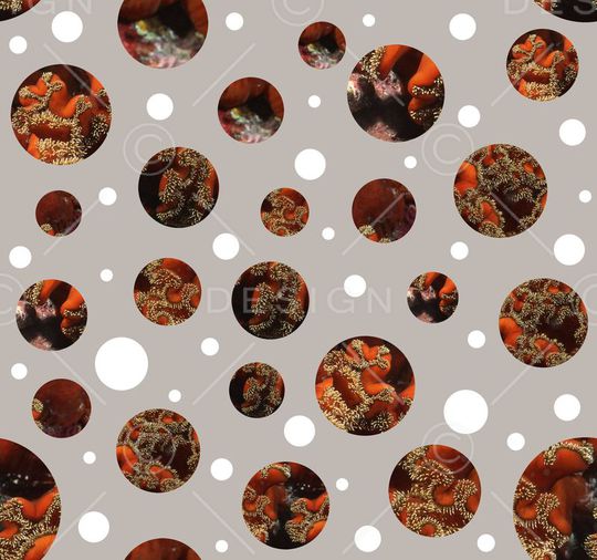 波点印花华亿平台图片