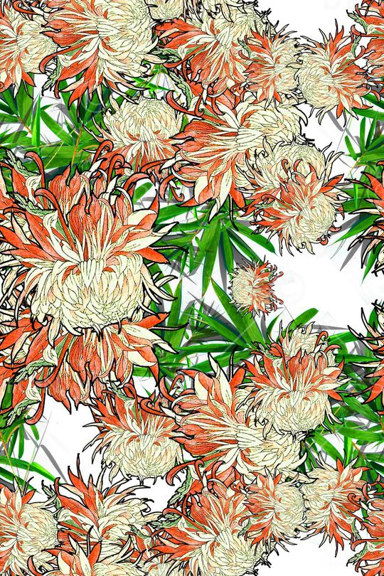 芙蓉花卉印花华亿平台图片