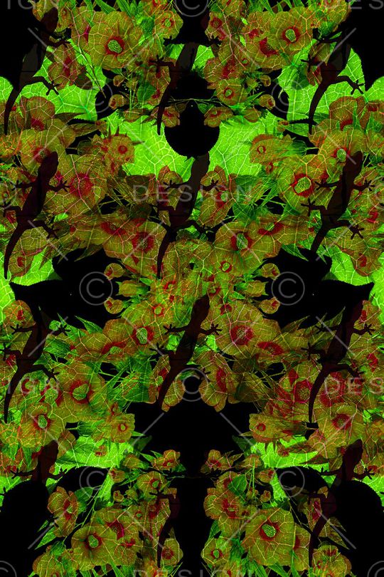 暗色花卉组印花华亿平台图片