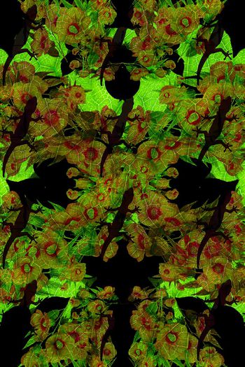 暗色花卉组印花华亿平台图片