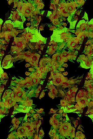 暗色花卉组印花华亿平台图片