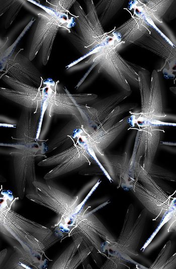 505134-	潮流时尚个性抽象蜻蜓数码印花