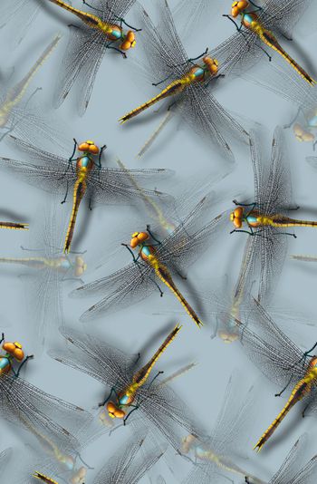 505135-	潮流时尚个性抽象蜻蜓数码印花