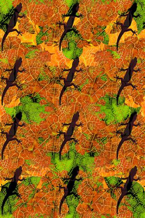 蜥蜴印花华亿平台图片