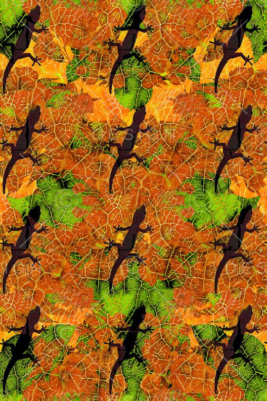 蜥蜴印花华亿平台图片