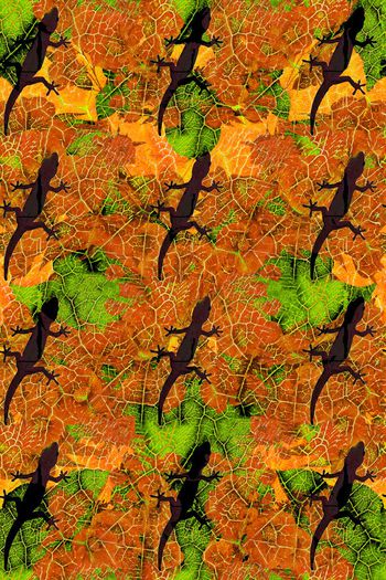 505181-抽象绿叶蜥蜴运动