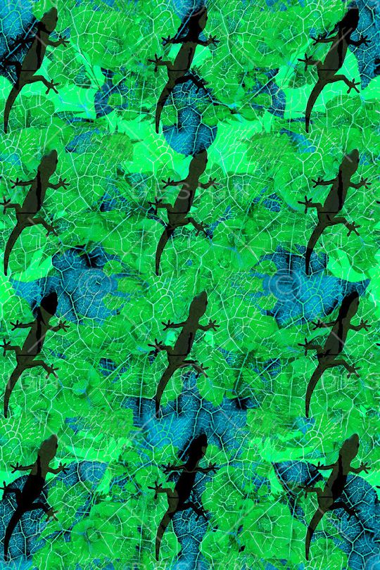 蜥蜴印花华亿平台图片