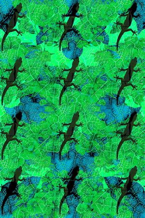 蜥蜴印花华亿平台图片