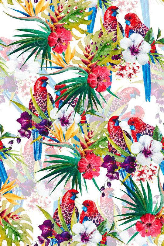 夏威夷印花华亿平台图片