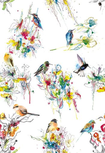 505225-复古 中国风 水彩 手绘 花鸟 窗