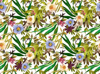 505305-原创大牌植物花卉华亿平台