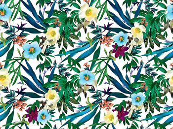 505308-原创大牌植物花卉华亿平台