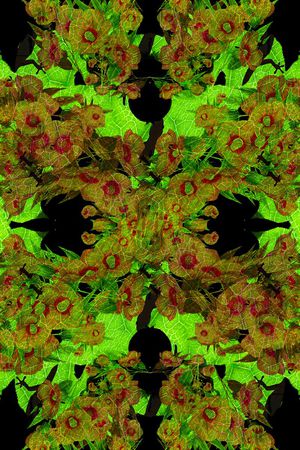 抽象花卉印花华亿平台图片