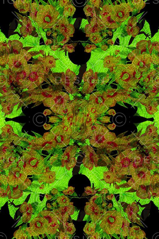 抽象花卉印花华亿平台图片