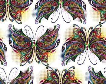 505476-传统彩绘工笔蝴蝶展翅飞翔图 几何线