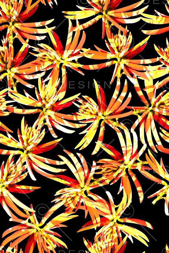 时尚印花华亿平台图片