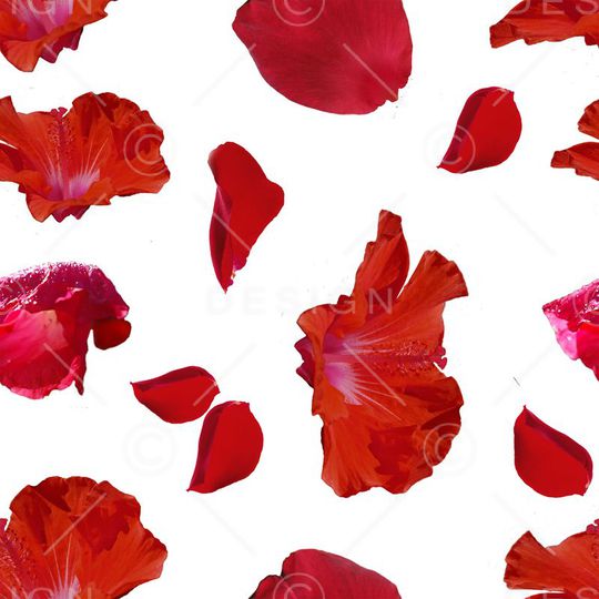 清新印花华亿平台图片