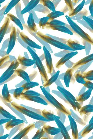 潮流时尚印花华亿平台图片