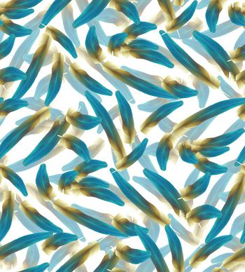 505508-时尚羽毛数码印花.