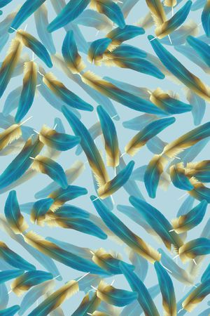 潮流时尚印花华亿平台图片