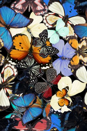 流行时尚印花华亿平台图片