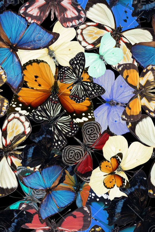 流行时尚印花华亿平台图片