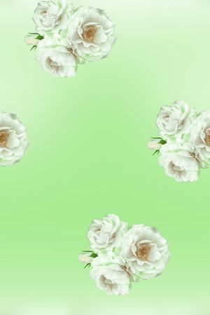 欧美印花华亿平台图片