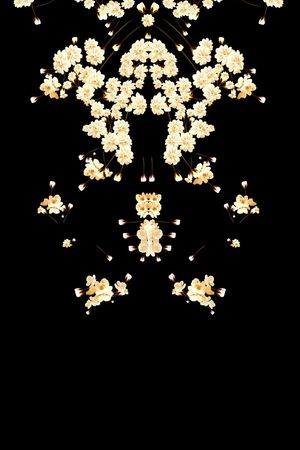 Givenchy印花华亿平台图片