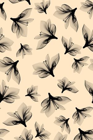 时尚灰花印花华亿平台图片