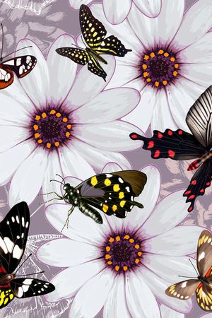 欧美印花华亿平台图片