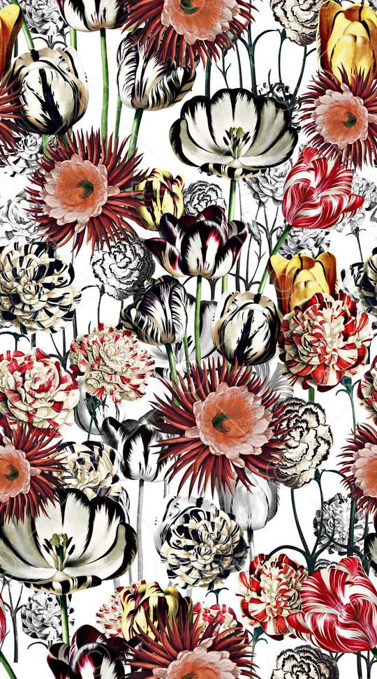 欧式印花华亿平台图片