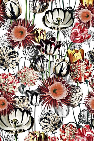 欧式印花华亿平台图片