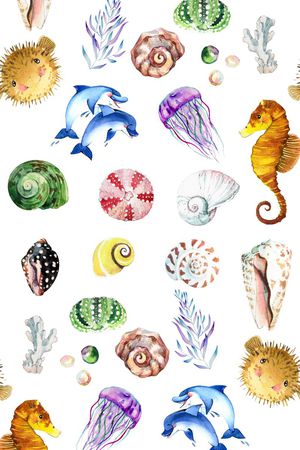 贝壳印花华亿平台图片