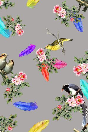 羽毛印花华亿平台图片