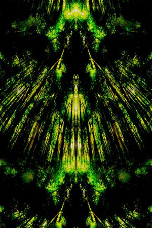 零点--泳装印花华亿平台图片