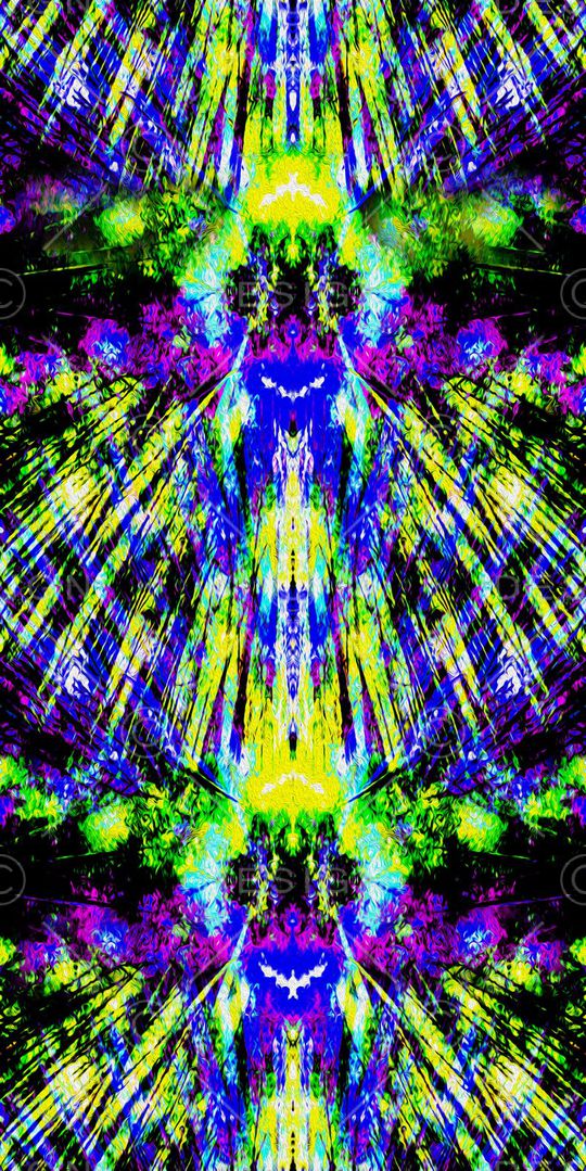 零点--泳装印花华亿平台图片