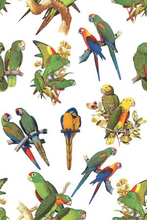 喜鹊印花华亿平台图片