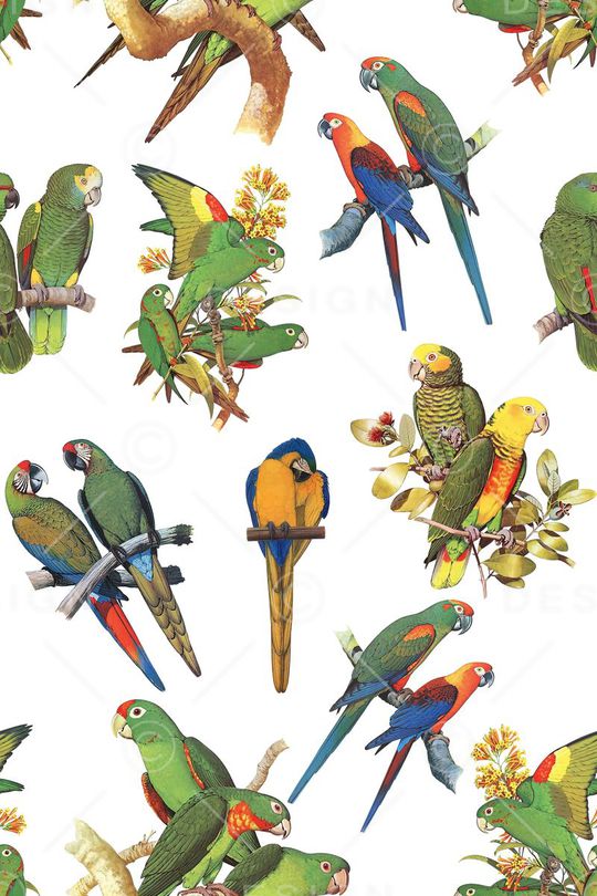 喜鹊印花华亿平台图片