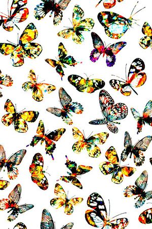 欧美印花华亿平台图片