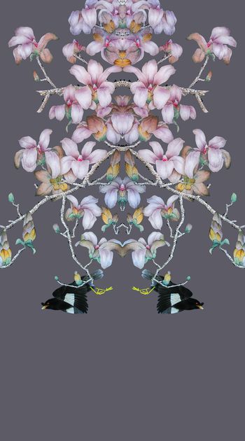 506315-中国风大牌工笔画