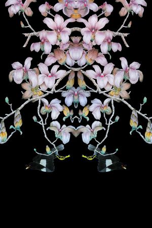 工笔画印花华亿平台图片