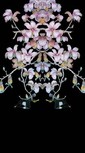 506317-中国风大牌工笔画