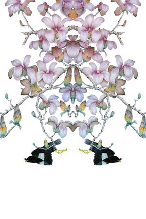 工笔画印花华亿平台图片