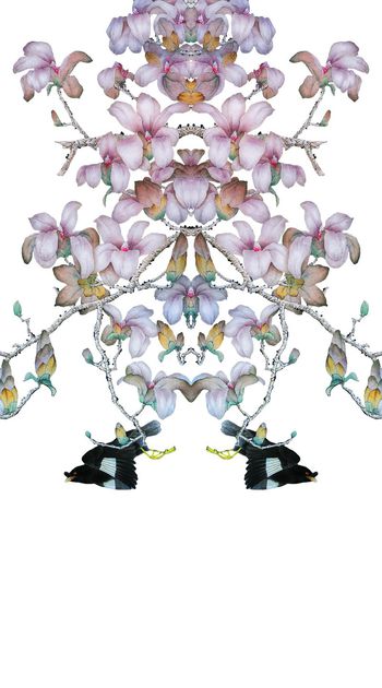 506318-中国风大牌工笔画