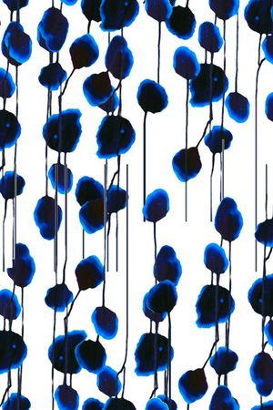 线条蓝叶完美组合印花华亿平台图片