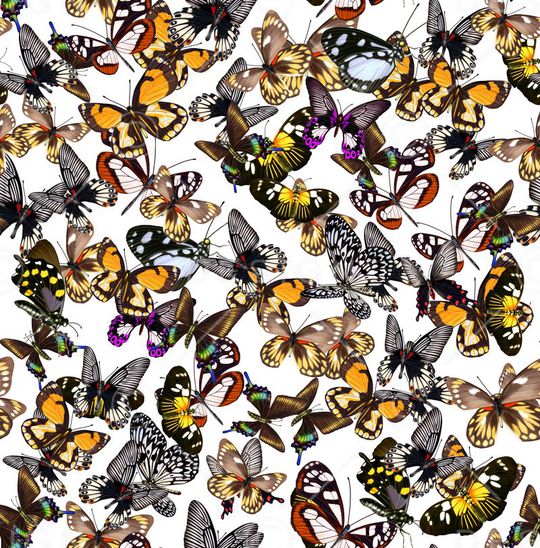 欧美印花华亿平台图片