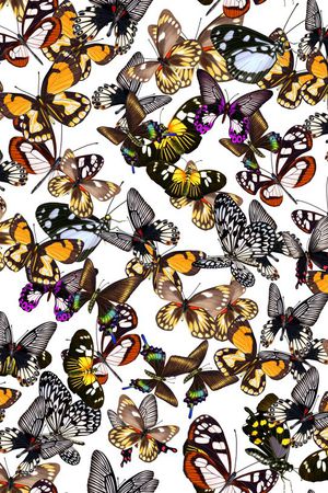 欧美印花华亿平台图片